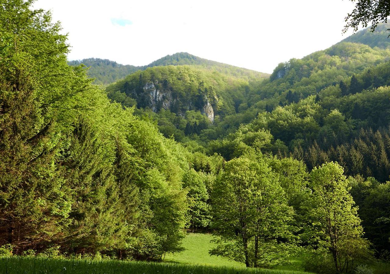 Penzion Pod Strazovom Pruzina Bagian luar foto